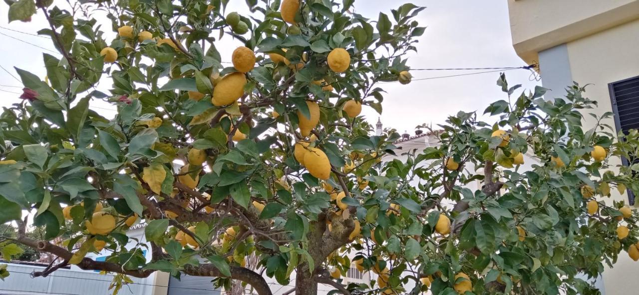 טאווירה Le Boucanier מראה חיצוני תמונה